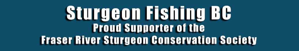 Sturgeon Fishing BC 2